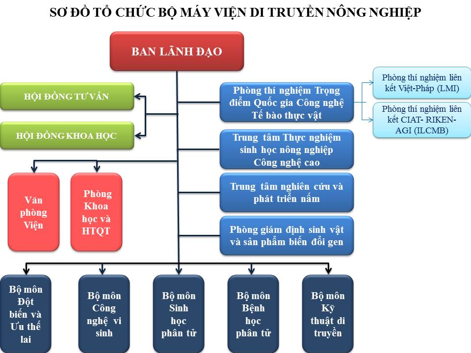 Cơ cấu tổ chức Viện Di truyền Nông nghiệp