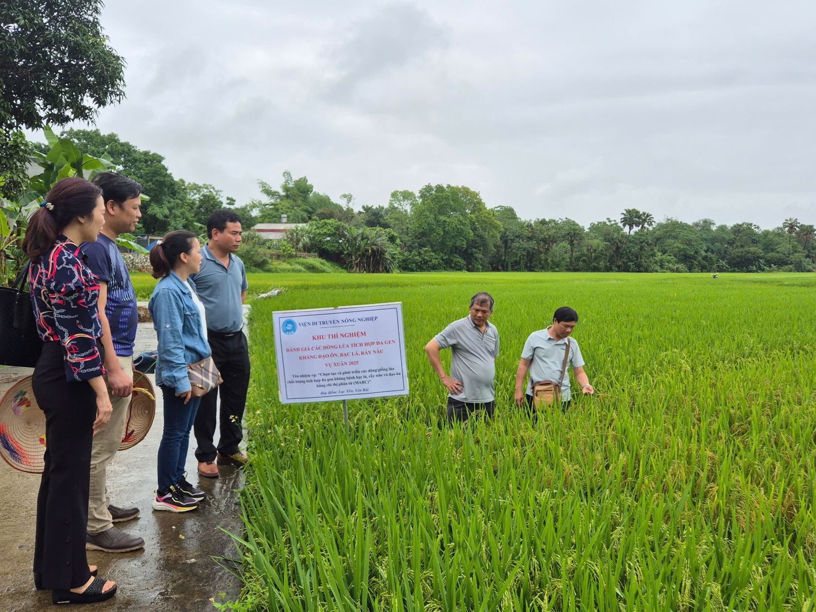 Kiểm tra định kỳ, tiến độ các nhiệm vụ KHCN năm 2025 của Viện Di truyền Nông nghiệp