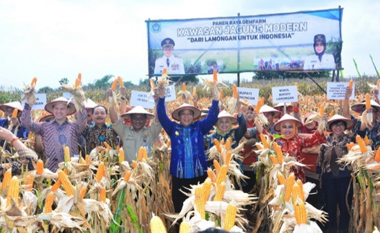 NÔNG DÂN  INDONESIA SẴN SÀNG ỨNG DỤNG NGÔ CÔNG NGHỆ SINH HỌC  