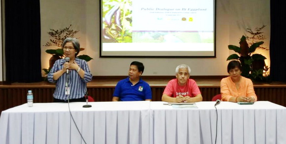 NÔNG DÂN PHILIPPINE TRÔNG ĐỢI CÀ TÍM BT ĐƯỢC THƯƠNG MẠI HÓA 