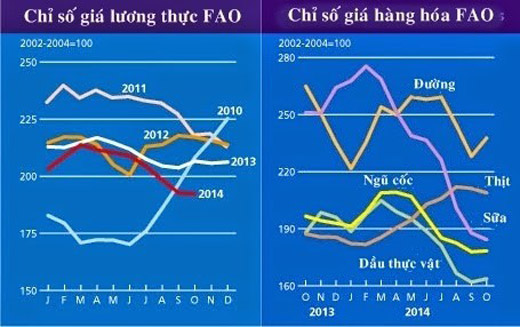 Fao: Dự báo sản lưởng ngũ cốc toàn cầu tăng